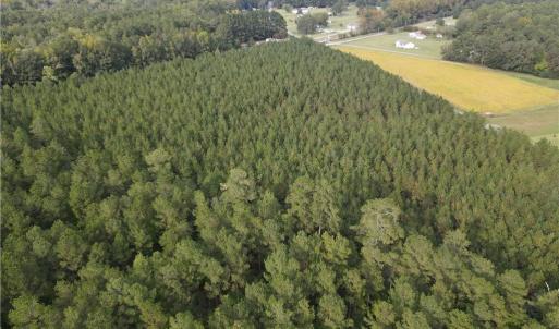 Photo #19 of 12AC Jenkins Mill Road, Franklin, Virginia 12.7 acres