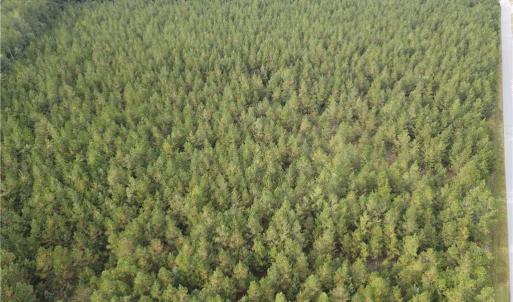 Photo #20 of 12AC Jenkins Mill Road, Franklin, Virginia 12.7 acres