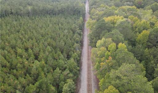 Photo #6 of 12AC Jenkins Mill Road, Franklin, Virginia 12.7 acres