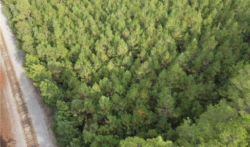 Photo #9 of 12AC Jenkins Mill Road, Franklin, Virginia 12.7 acres