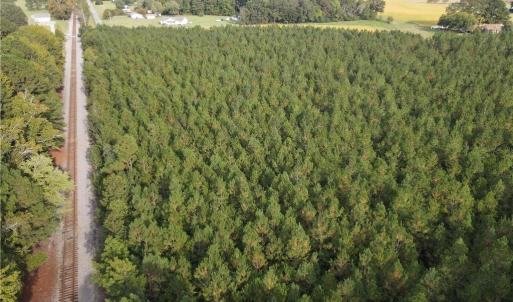 Photo #10 of 12AC Jenkins Mill Road, Franklin, Virginia 12.7 acres