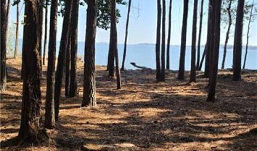 Photo #4 of 816 Ship Point Road, Yorktown, Virginia 2.7 acres