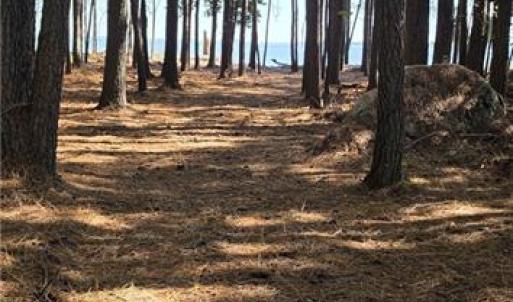 Photo #5 of 816 Ship Point Road, Yorktown, Virginia 2.7 acres