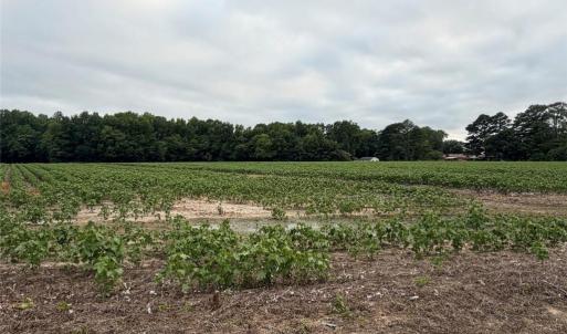 Photo #5 of Lot 19 Longstreet Lane, Suffolk, Virginia 19.6 acres