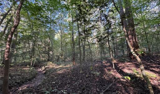 Photo #11 of 26-17 Catapult Lane, Gloucester, Virginia 13.4 acres