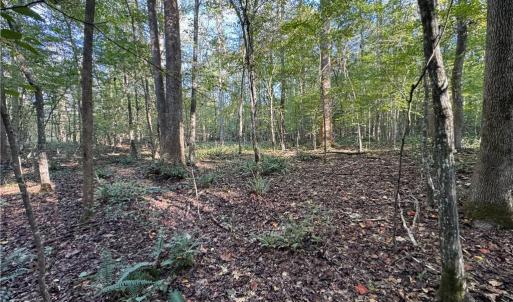 Photo #12 of 26-17 Catapult Lane, Gloucester, Virginia 13.4 acres