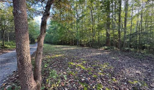Photo #13 of 26-17 Catapult Lane, Gloucester, Virginia 13.4 acres