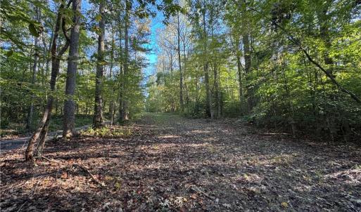 Photo #14 of 26-17 Catapult Lane, Gloucester, Virginia 13.4 acres