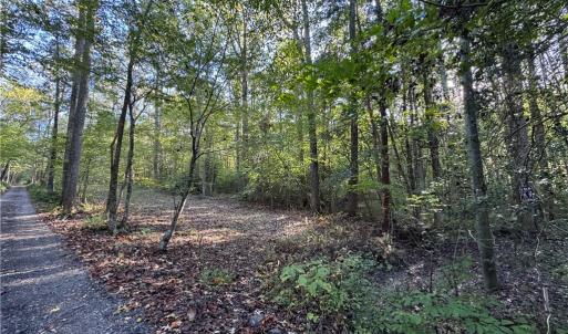 Photo #15 of 26-17 Catapult Lane, Gloucester, Virginia 13.4 acres