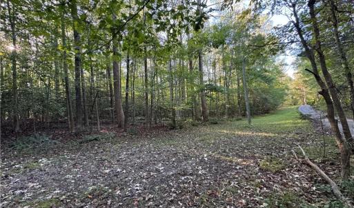 Photo #4 of 26-17 Catapult Lane, Gloucester, Virginia 13.4 acres