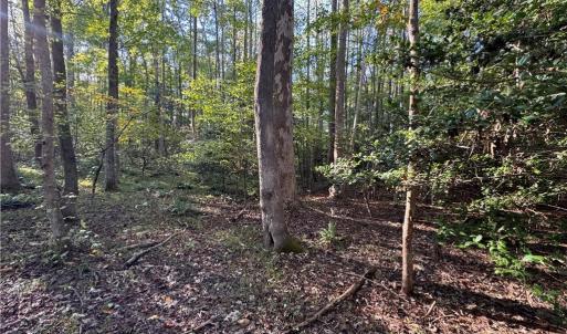 Photo #5 of 26-17 Catapult Lane, Gloucester, Virginia 13.4 acres
