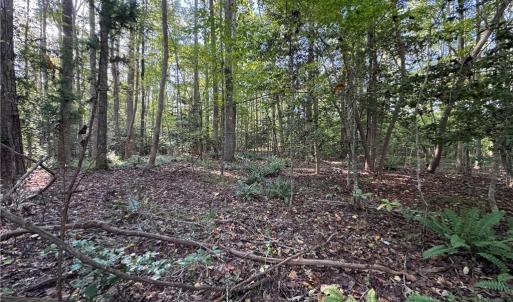 Photo #7 of 26-17 Catapult Lane, Gloucester, Virginia 13.4 acres