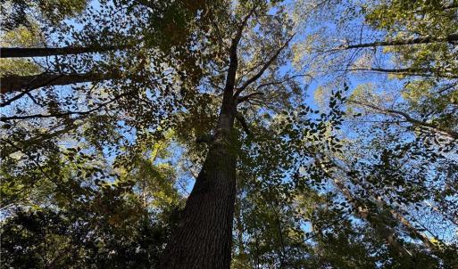 Photo #8 of 26-17 Catapult Lane, Gloucester, Virginia 13.4 acres