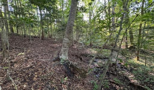 Photo #9 of 26-17 Catapult Lane, Gloucester, Virginia 13.4 acres
