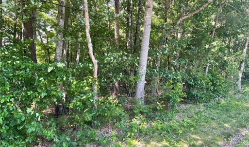 Photo #4 of Parcel C Iron Works, Reidsville, NC 0.7 acres