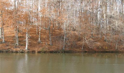 Photo #3 of 3715 Brooks Crest, Browns Summit, NC 1.6 acres