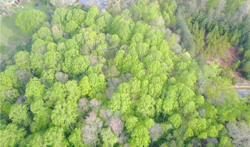 Photo #7 of Clemmons, Clemmons, NC 6.8 acres
