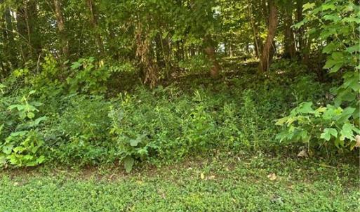 Photo #8 of LOT 27 Rhode Island, Mocksville, NC 0.9 acres