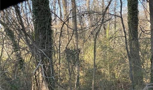 Photo #4 of 3605 Ten, Efland, NC 9.1 acres