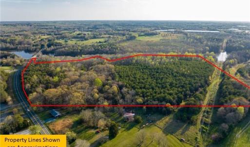 Photo #3 of 1316 NC Highway 61, Whitsett, NC 40.3 acres