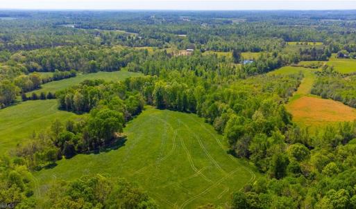 Photo #21 of Macedonia Loop, Liberty, NC 59.9 acres
