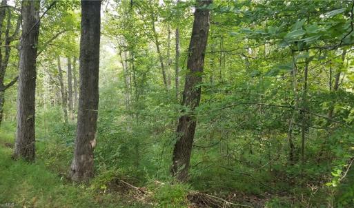 Photo #2 of 12 Noel, Stoneville, NC 0.9 acres