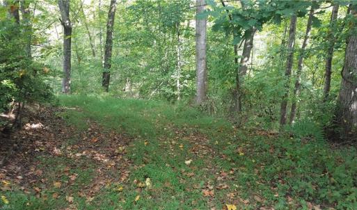 Photo #2 of 13 Noel, Stoneville, NC 0.8 acres