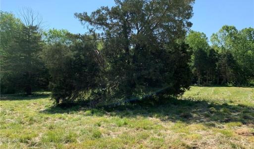 Photo #23 of Vance Street, Reidsville, NC 8.1 acres