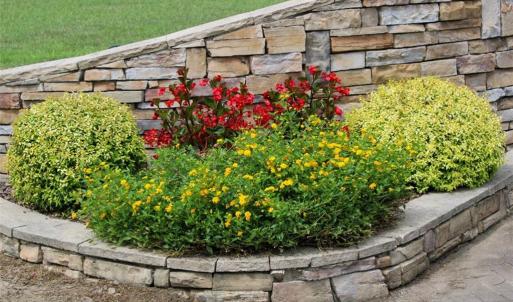Photo #8 of 238 Bluff, Salisbury, NC 1.1 acres