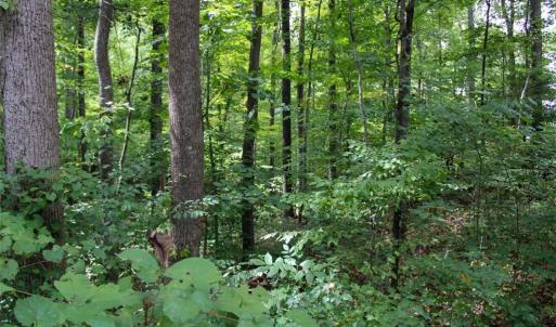 Photo #6 of 238 Bluff, Salisbury, NC 1.1 acres