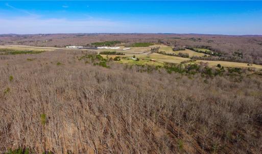 Photo #6 of Doul Mountain, Asheboro, NC 78.0 acres