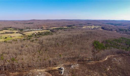 Photo #12 of Doul Mountain, Asheboro, NC 78.0 acres