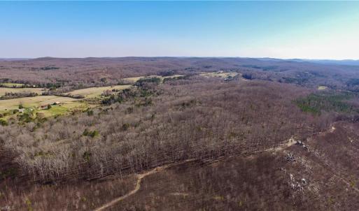 Photo #7 of Doul Mountain, Asheboro, NC 78.0 acres