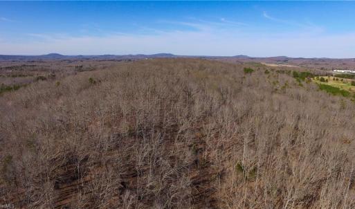 Photo #5 of Doul Mountain, Asheboro, NC 78.0 acres