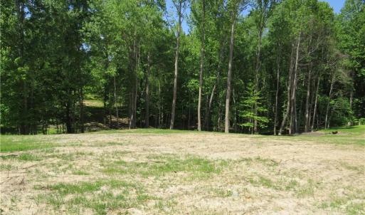 Creek runs through the middle of the wooded area which is also the property line