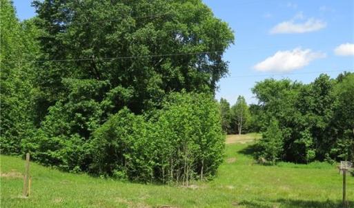 View from where the turn in the driveway would be to get back to the cleared land