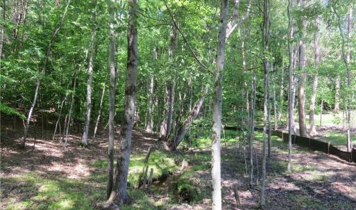 Creek runs along edge of property