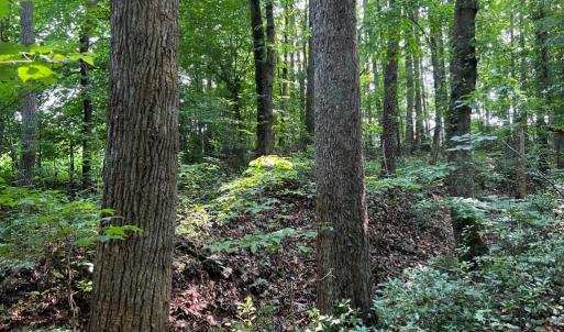 Photo #2 of 5.25 Ac Capella Ridge, King, NC 5.3 acres