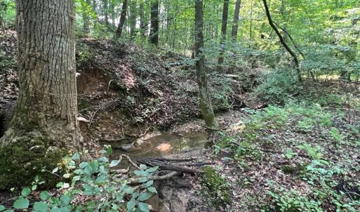 Photo #6 of 5.25 Ac Capella Ridge, King, NC 5.3 acres