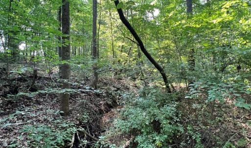 Photo #7 of 5.25 Ac Capella Ridge, King, NC 5.3 acres