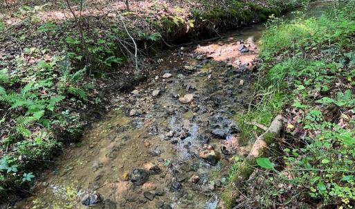 Photo #3 of 5.25 Ac Capella Ridge, King, NC 5.3 acres