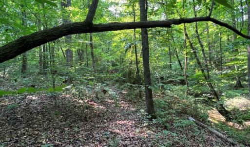 Photo #8 of 5.25 Ac Capella Ridge, King, NC 5.3 acres