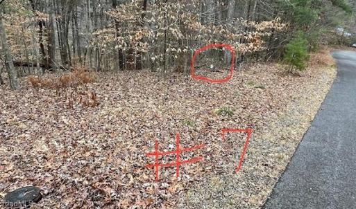Lot 7