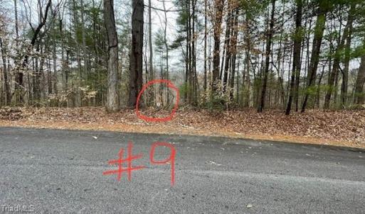 Lot 9