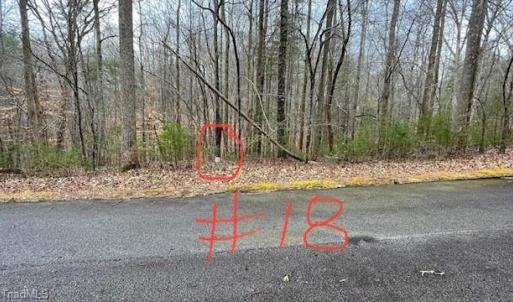 Lot 18