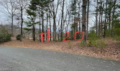 Lot 20