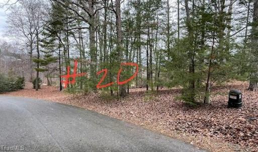 Lot 20