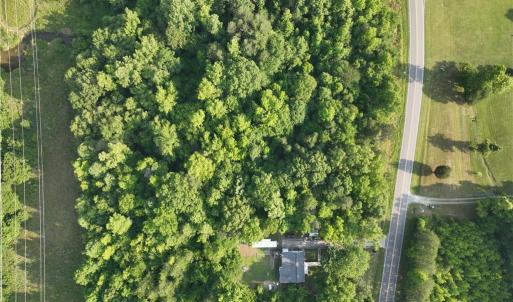 Photo #11 of 236, 246 Willowlake, Greensboro, NC 12.6 acres