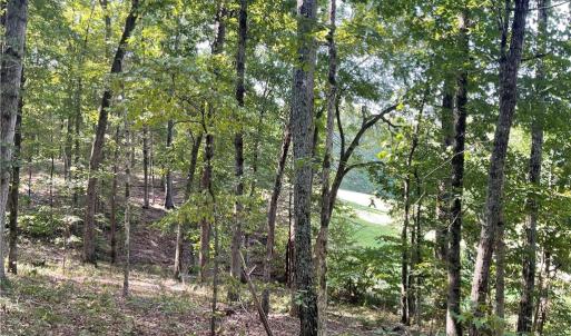 Photo #6 of 4736 Main, Winston-Salem, NC 22.0 acres
