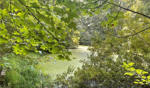 Photo #7 of 4736 Main, Winston-Salem, NC 22.0 acres